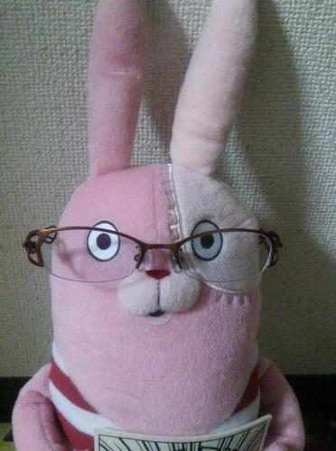 三味線、太鼓、鐘、笛の音で体が勝手に動き出す阿呆です。じいちゃん、ばあちゃんありがとう。あなた方のお陰で立派な踊り人になりました。
