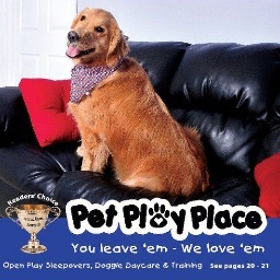 petplayplace Profile Picture