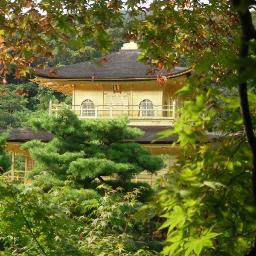 giannicod's profile picture. 