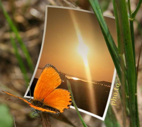 engetr5555's profile picture. 