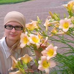Корейским слепым не выдают собак-поводырей.