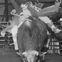 Frank Kasper - @frankkasper13 - Twitter