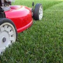 Local Family run garden business. Offering excellent service and value for money. .why not visit our website
@TKGardens https://t.co/s1RdSsh25e