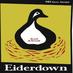 Eiderdown (@eiderdowngerman) Twitter profile photo