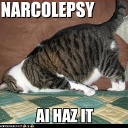 Welcome to the Narcoleptic Blog where I will be talking about my daily experiences with Narcolepsy as well as other sleep disorders.  narcolepticblog@yahoo.com