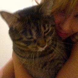 KaraDodger's profile picture. Cats, sparkles, funnies, anxiety and other important stuff