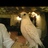 fahd_alajmi's profile image