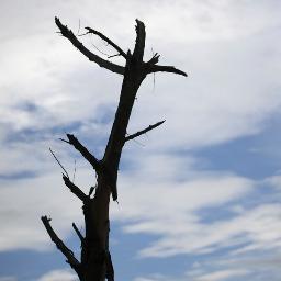 Criador do blog do Bagaça, passe por lá e deixe seu comentário. 
http://t.co/6ZQjSzH8