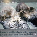 Jaime Stone - @jaston13 - Twitter