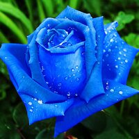 nyta_c2 (@nyta_c2) 's Twitter Profile