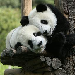 helpmelearn1234's profile picture.