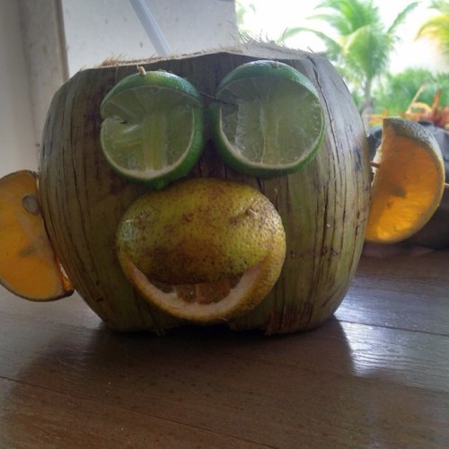 RendellHolly's profile picture. 