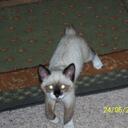 gavin coffey - @gavin2580 - Twitter