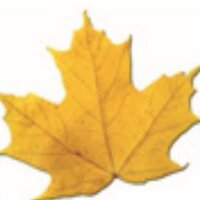 ColonialeGC (@coloniale_gc) 's Twitter Profile