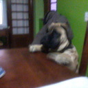 graciela vera - @GraVera76 - Twitter