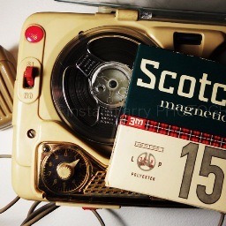 baysideboston's profile picture. 