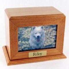 HundeBegravelse's profile picture. HundeBegravelse