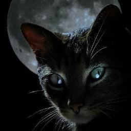 lantispy's profile picture. So I don't know what to write here so enjoy the picture