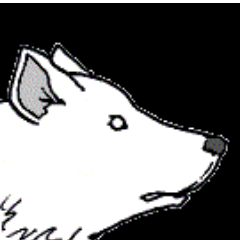 twtlupo's profile picture. Tipo iracondo e suscettibile, vivo da solo nella mia Tana. Sbrano spesso i bambini curiosi. Ho scritto un trattato: 'Del pelo et altri vizi'. Compralo, ho fame.