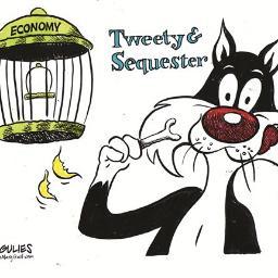 newtotwit's profile picture. 