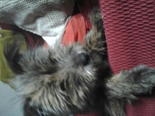 Marym4n4n2's profile picture. 