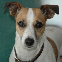 Jmrhsnyder's profile picture. (mid)life in the fast lane. All tweets are mine, not my job title. Pittsburgh roots. Shopaholic, Workaholic, Advocate, Wife of Architect, Fierce Friend.#GoBills