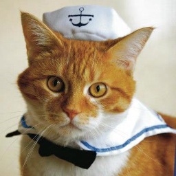 milwaukeearc's profile picture. Speaking up for those in need.