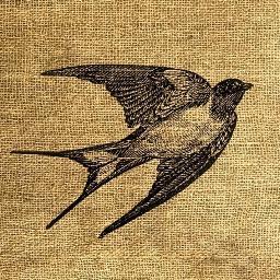 Provides inspiration on everything; Food, Fashion, Culture, Home Interior, Best Places to Eat and Drink, Unique businesses with special to give!