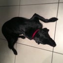 Annette shaw - @annettejshaw - Twitter