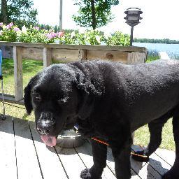 JKippert's profile picture. 