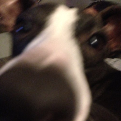 sethgall_seth's profile picture. 