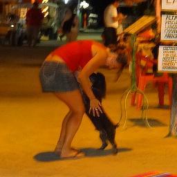 AineRosato's profile picture. 