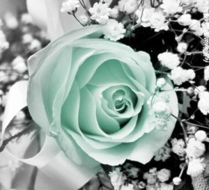 ♡امي اموت بترابك♡لا اعترف بالخاص ♡غيوض♡