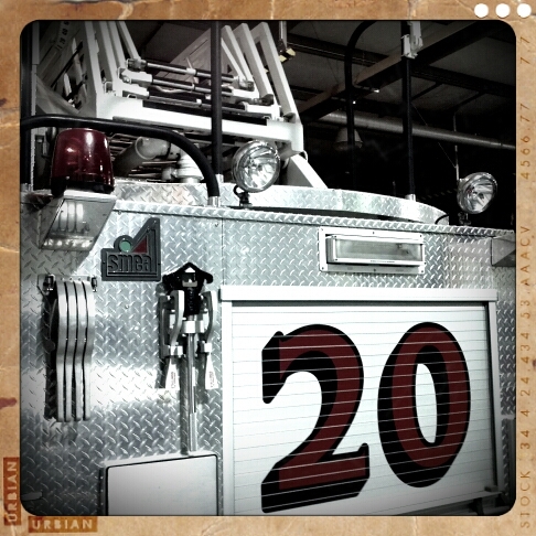 Svfdgirl's profile picture. 