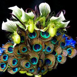 VundaVall's profile picture. 