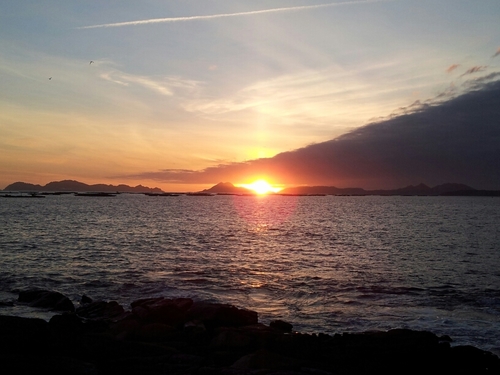 fd_israel's profile picture. 