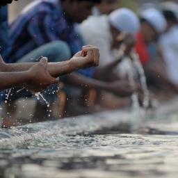 tiph_aine's profile picture. Mieux que le vivre-ensemble: le faire-ensemble!!