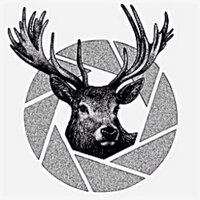 Hertford Camera Club (@hertfordcamera) 's Twitter Profile