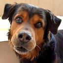 Catherine - @CathyLyon - Twitter