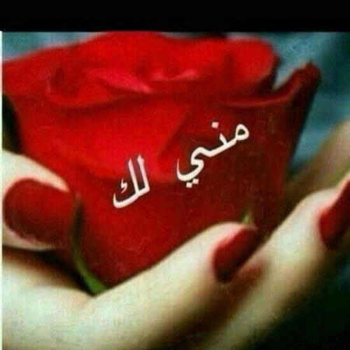 هدوء انسانه صادقه لا تجامل.مسيطرهsh💙💛$ لدعم الصم $