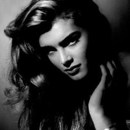 obaied3's profile picture. 