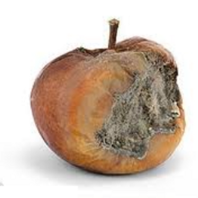 rotten apple rotten apple twitter