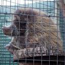 Kyle Rock - @Krockle21 - Twitter