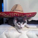 Brian Hoffman - @StraDaddy - Twitter