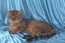 noBriscoe's profile picture. 