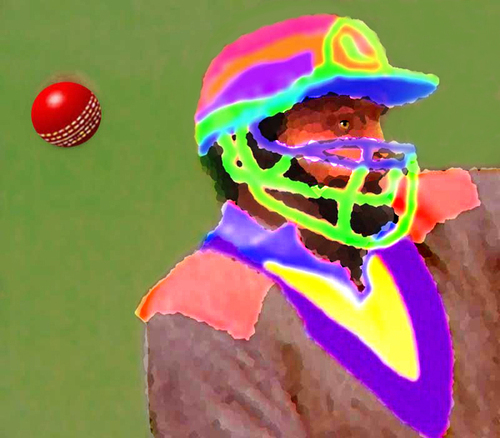 Web site featuring the online story - 'Mr Cricket , the Story of the Backyard Cricket Competition '