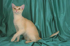 acypamay90's profile picture. 