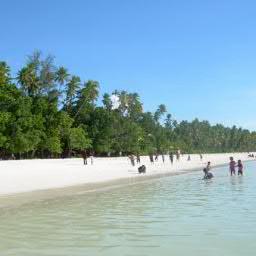 Akun silaturahmi, promote dan share informasi seputaran Kota Tual dan Kabupaten Maluku Tenggara | Ain Ni Ain forever and ever