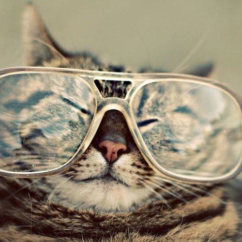 _nerdprobs's profile picture. Sci-fy & cheesy 80s movies lover, organization nerd, office supplies is my drug, books are a close friend