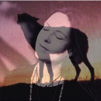 Bridget Wolf (@brightwaterwolf) 's Twitter Profile
